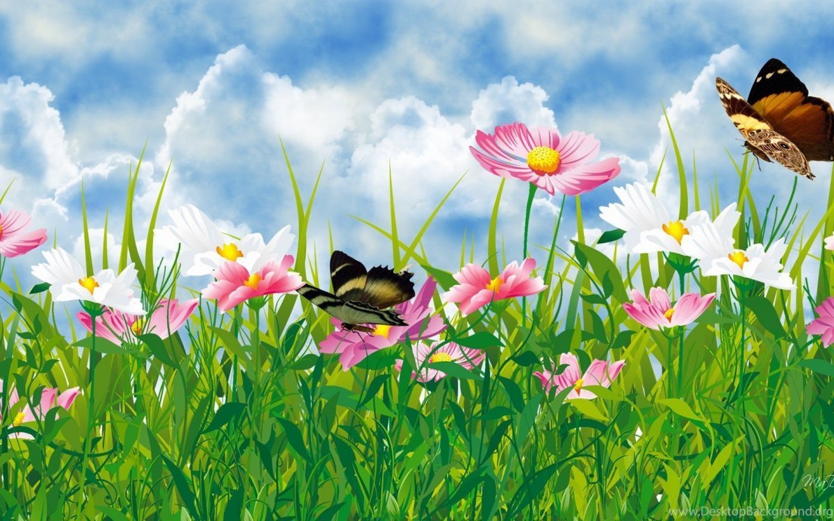 Цветочное поле аниме