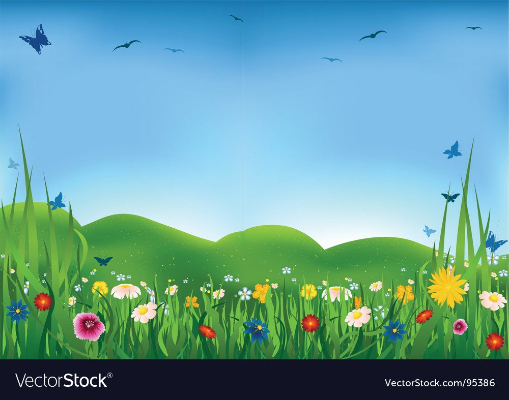 Фон травка бабочки небо