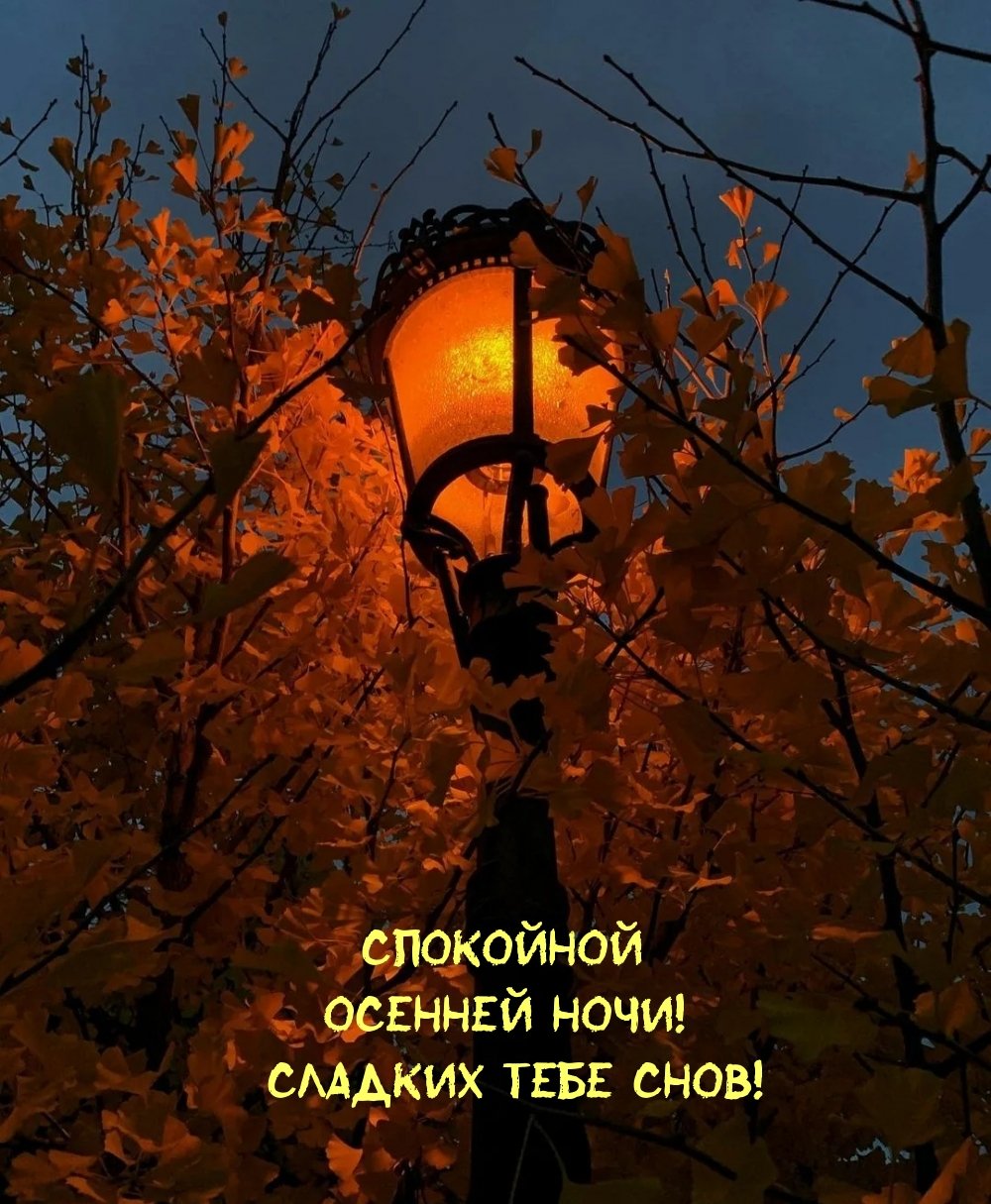 Спокойной но ЧС И осенние