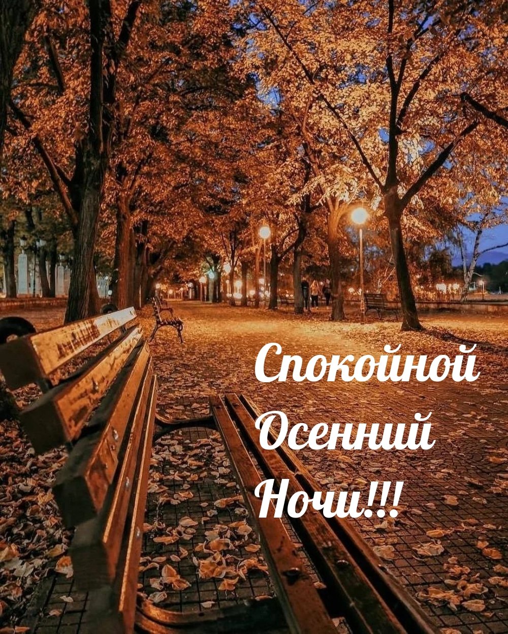Спокойной ночи осень