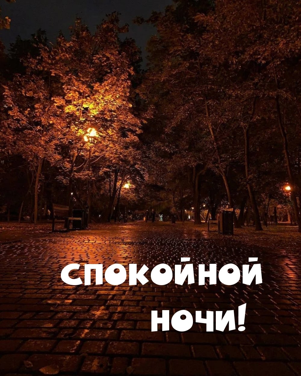 Сладких осенних снов