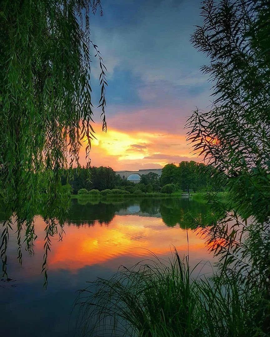 Доброй летней ночи