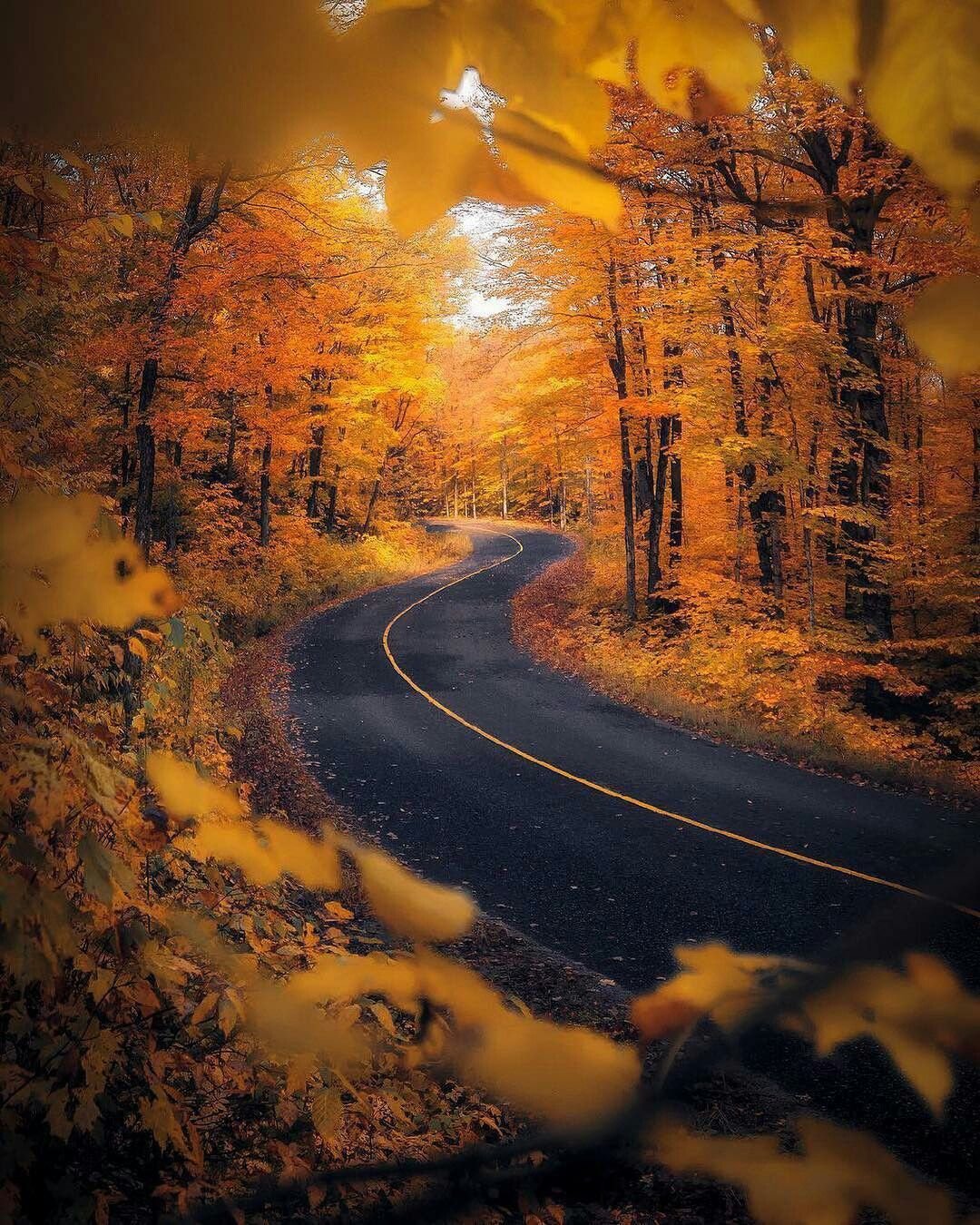 Дорога в осень