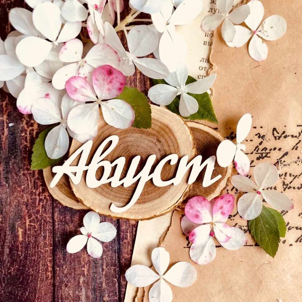 Подруги рисунок