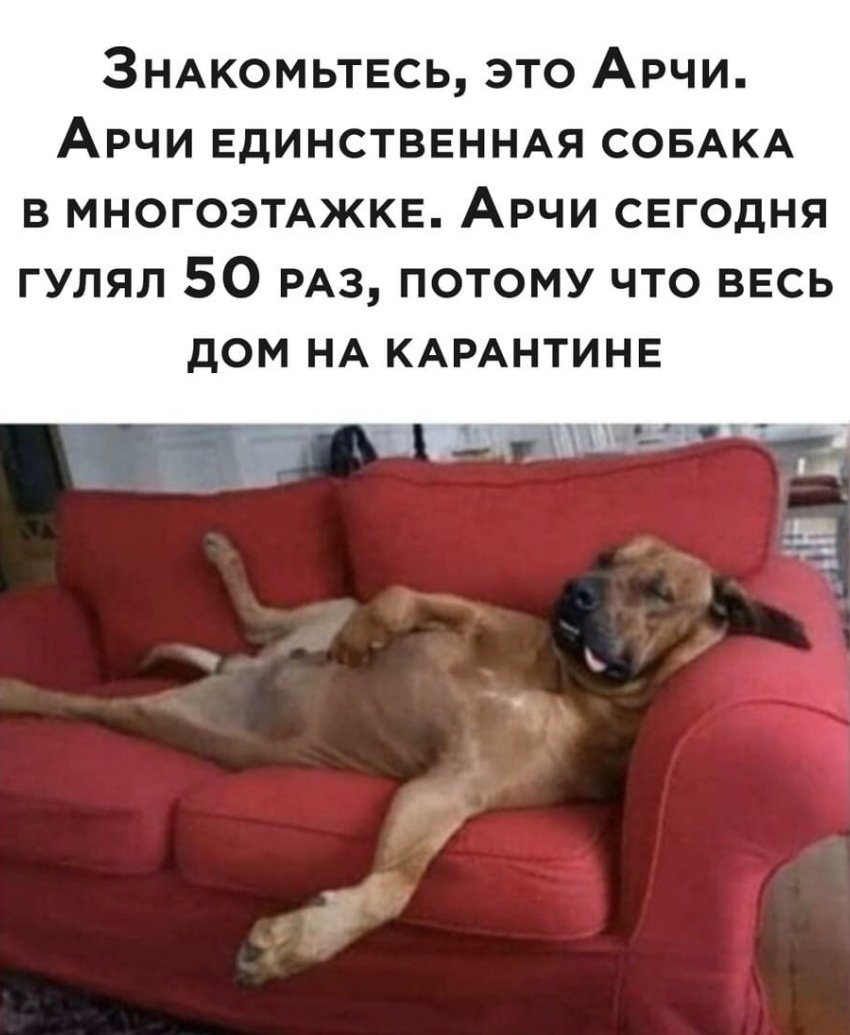 Дорогое место АЗС