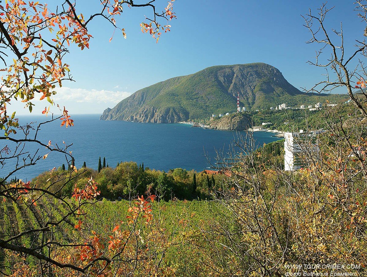 Мыс медведь Крым