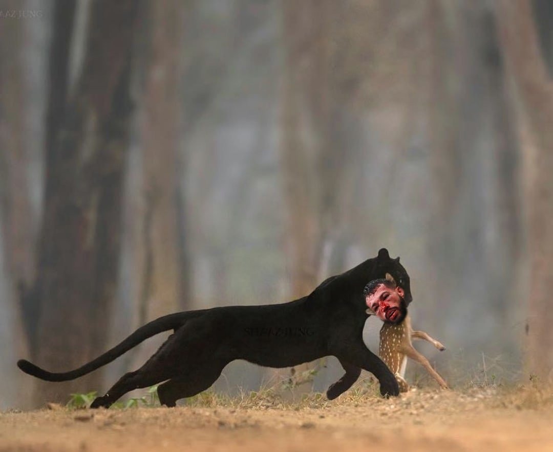 Пантера на охоте