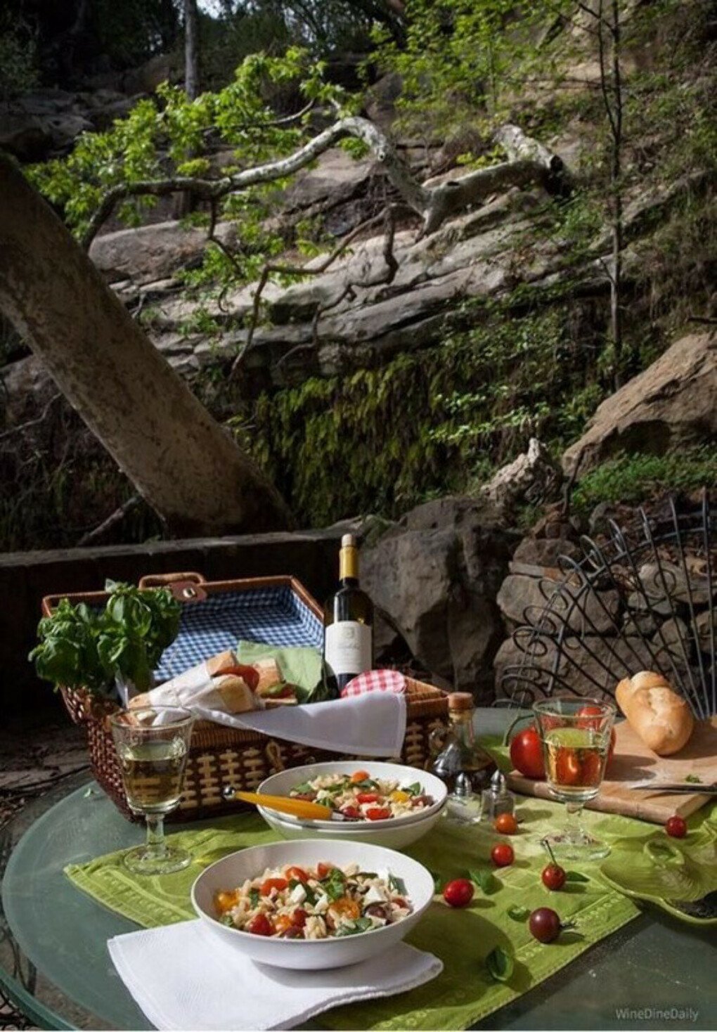 Пикник снять. Пикник на природе. Стол на природе с шашлыками. Красивый стол с едой. Пикник шашлык на природе.
