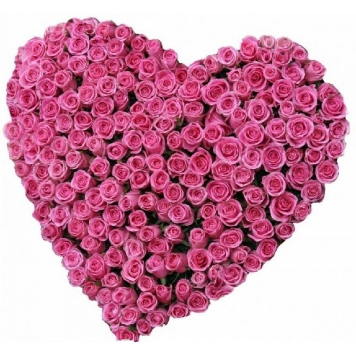 Сердце из роз