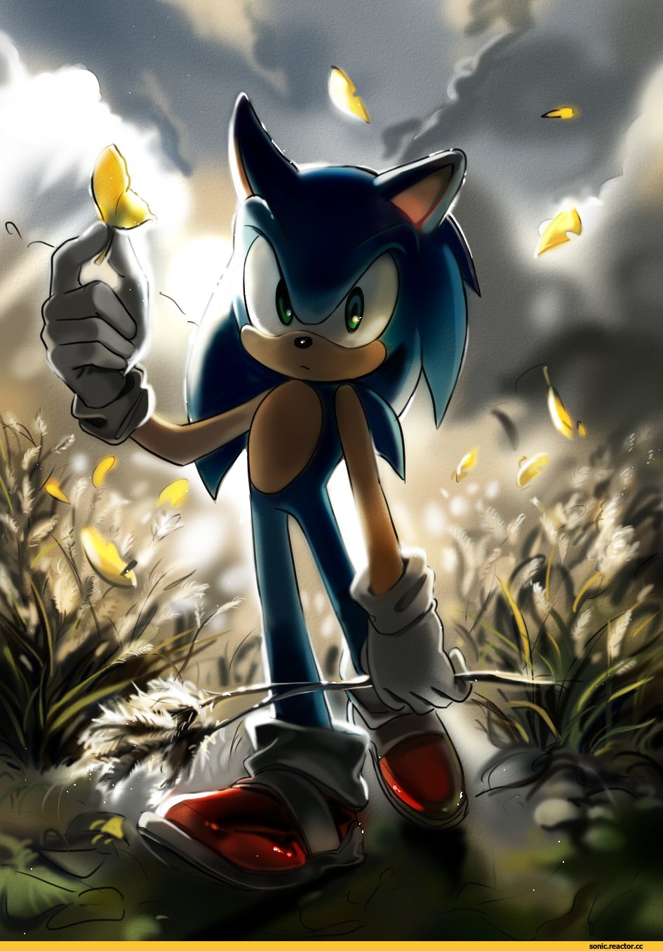 Соник Ежик Соник Ежик