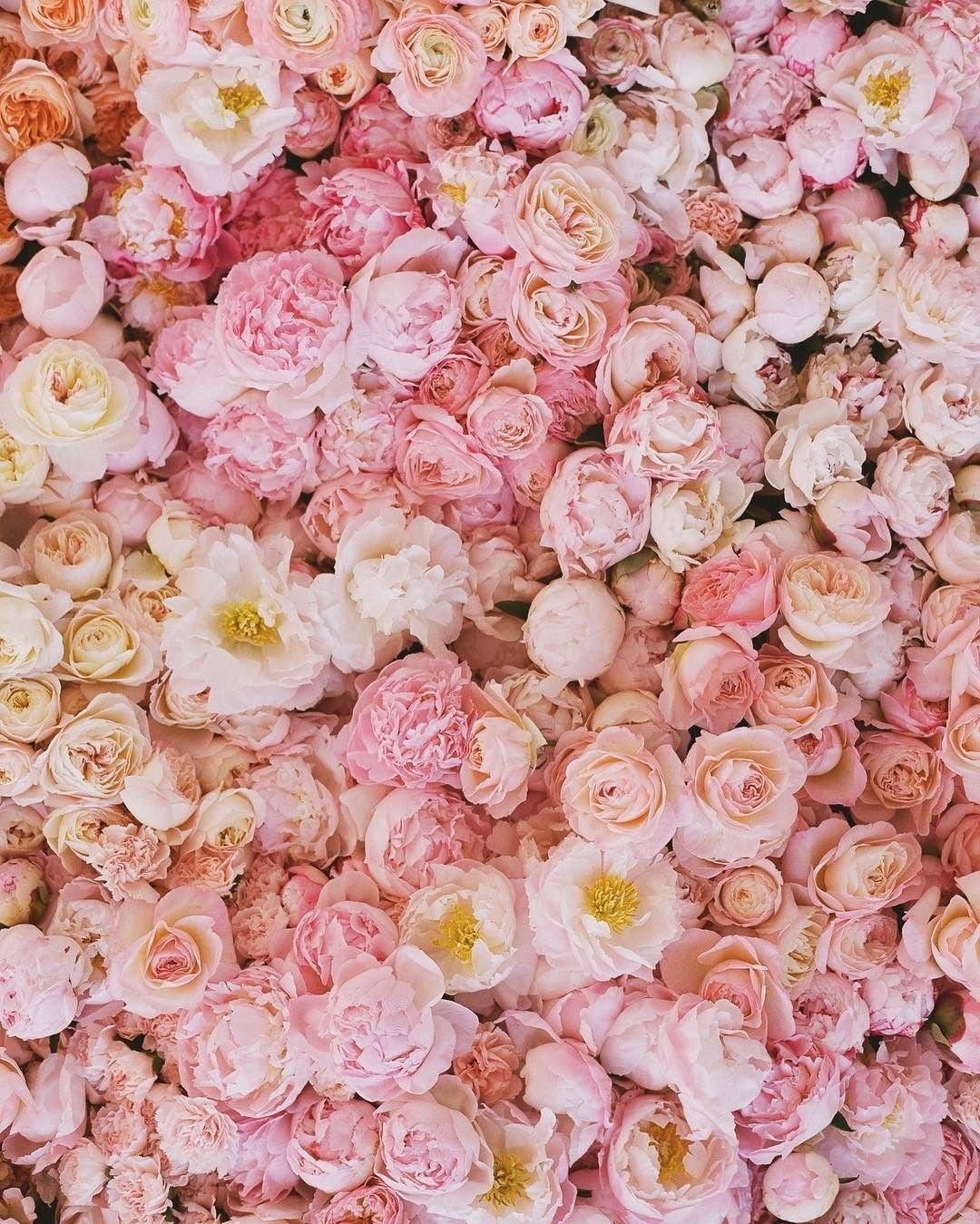 Розовые цветы