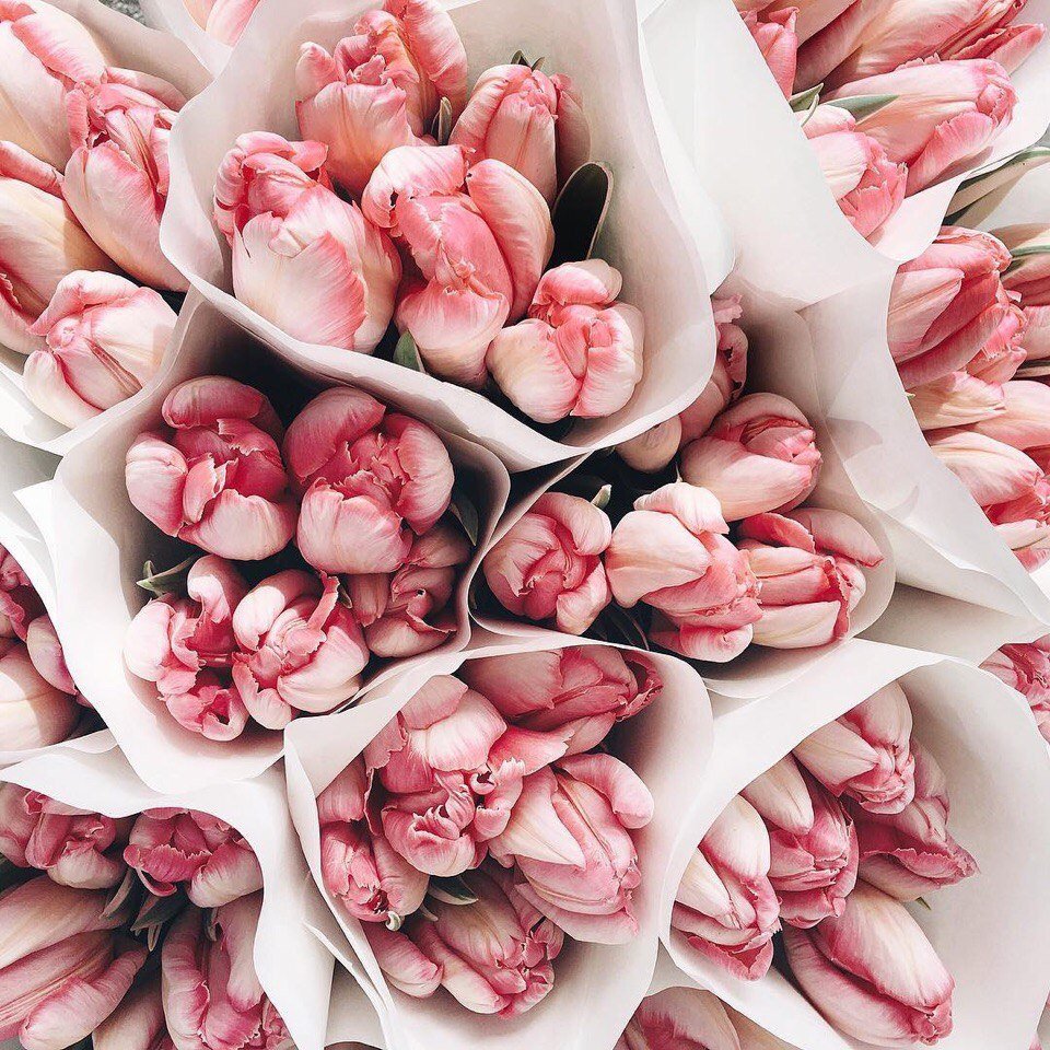 Тюльпаны Пинтерест