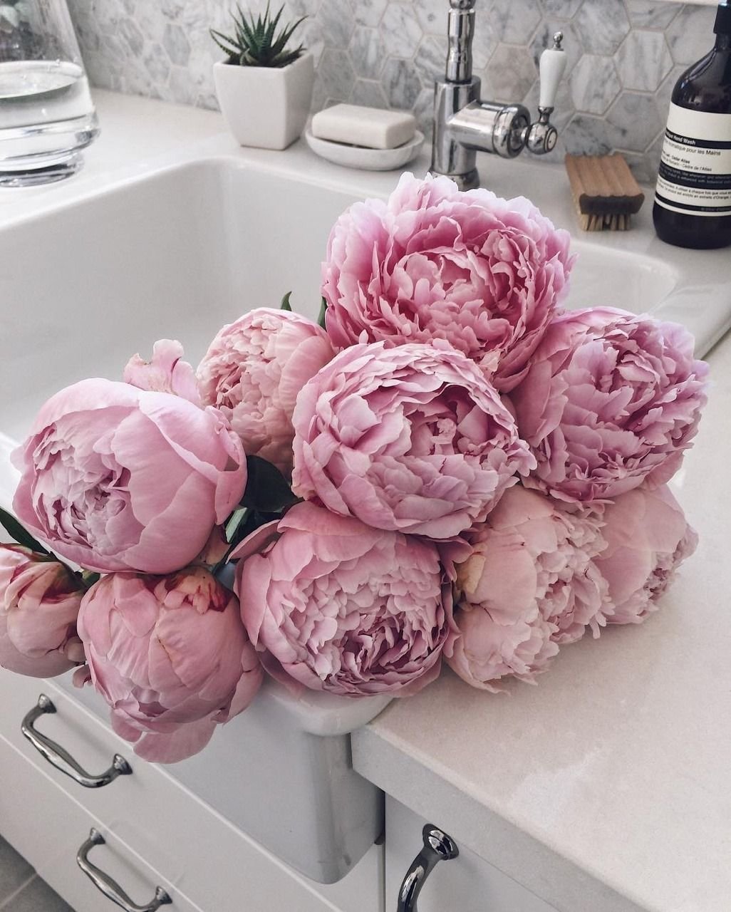 Пионы букет Пинтерест