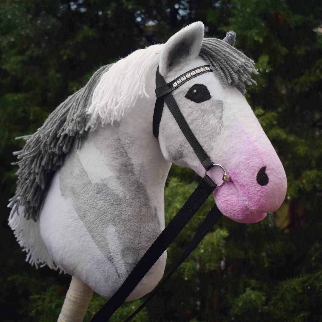 Хобби Хорс Пегий