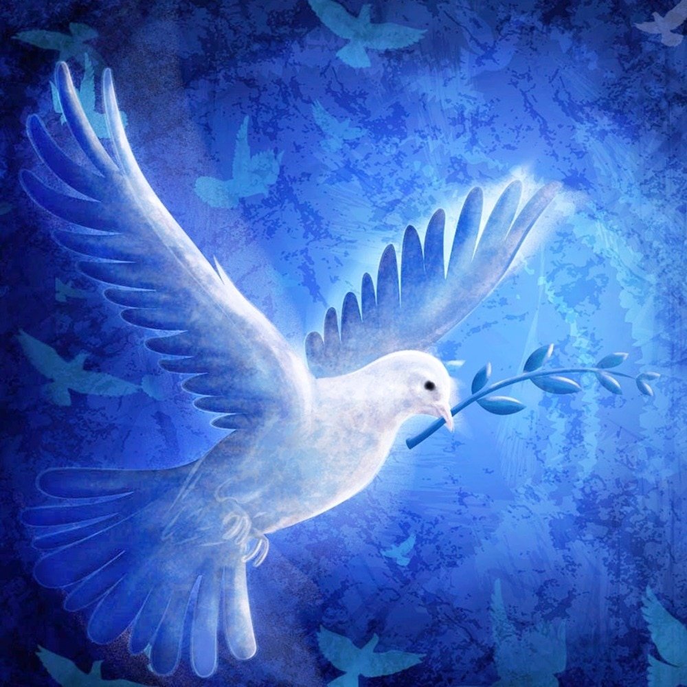 Изображение голубя мира