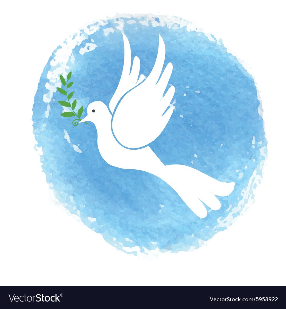 Голуби обои