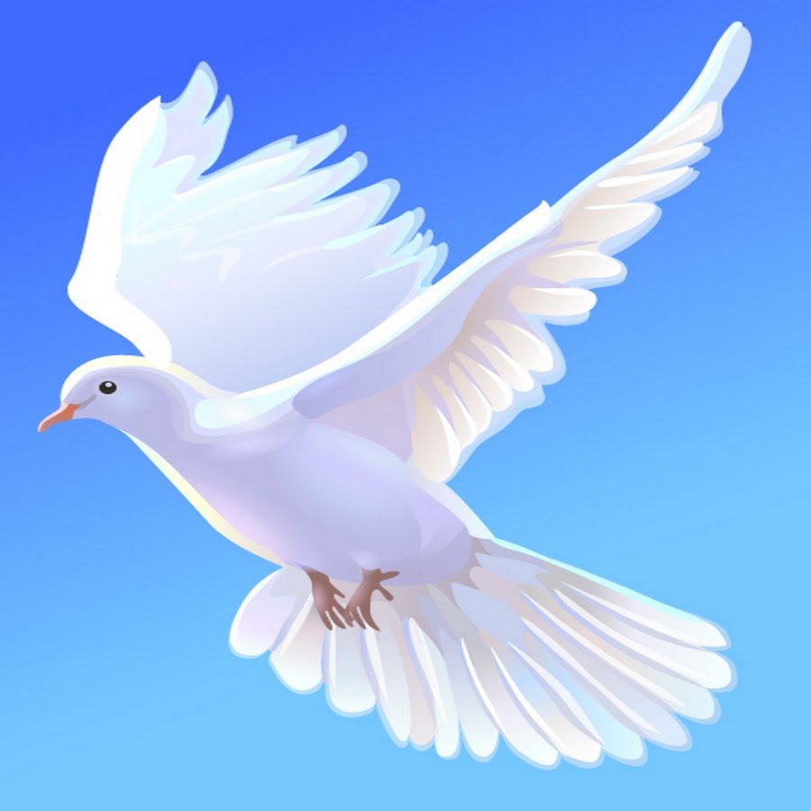 Чистое небо с голубями