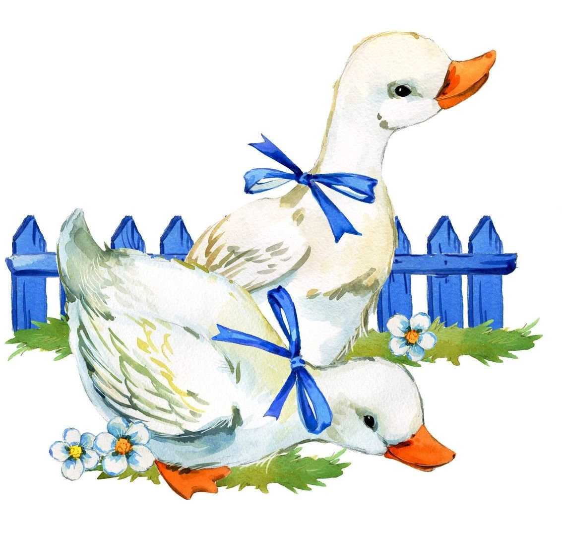 Гусь иллюстрация