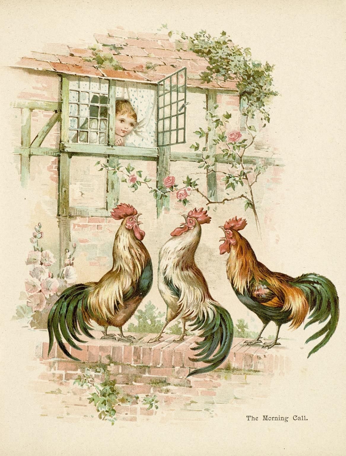 Петухи для декупажа