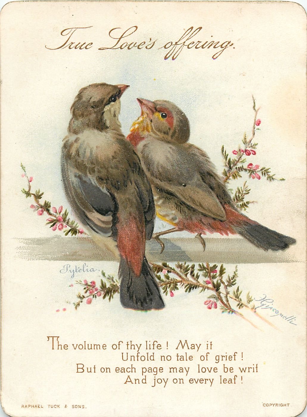 Винтажные птицы для декупажа