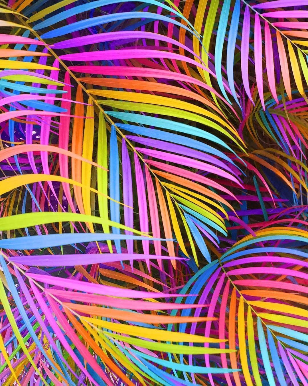 Абстракция яркие цвета