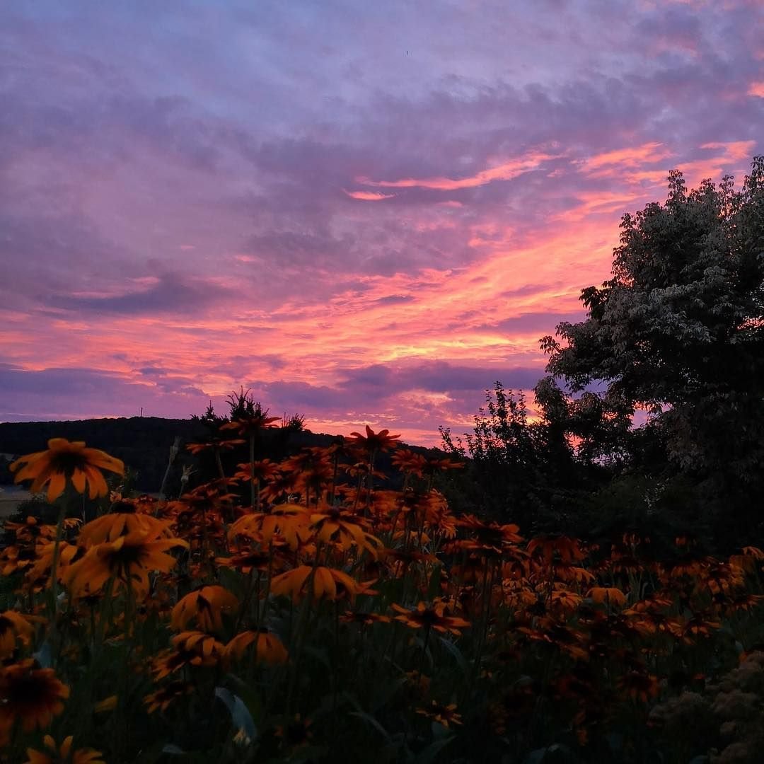 Эстетика природы