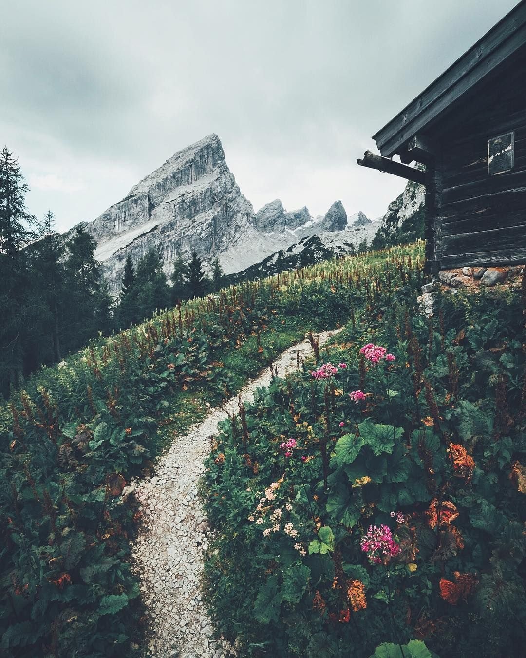 Пейзаж Эстетика