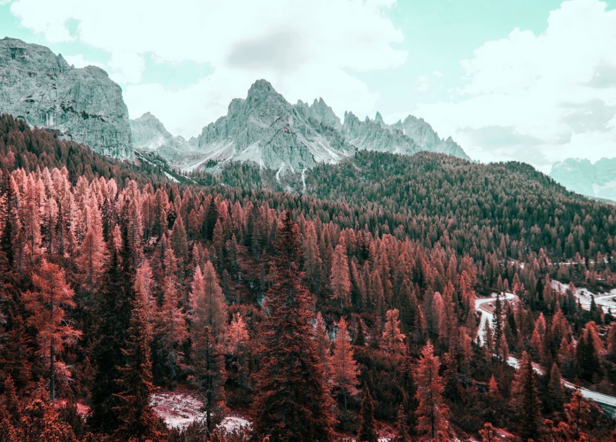 Эстетика природы