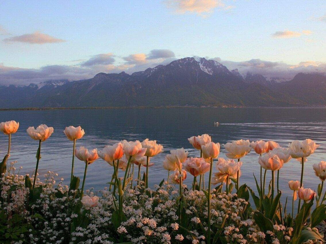 Эстетика природы