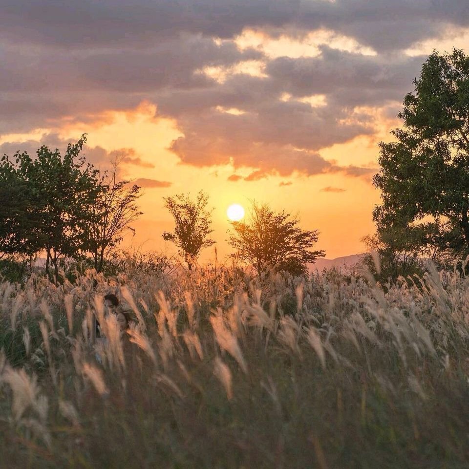 Природа aesthetic