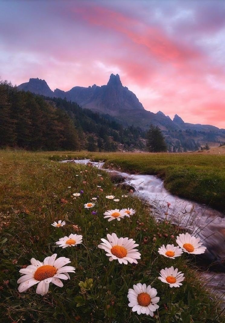 Эстетика прекрасного