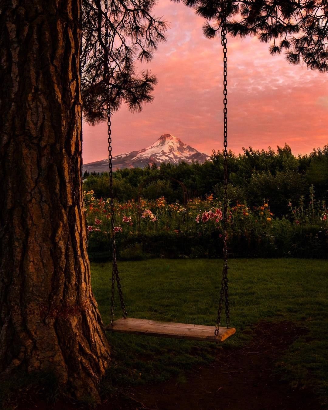 Горы в цветах