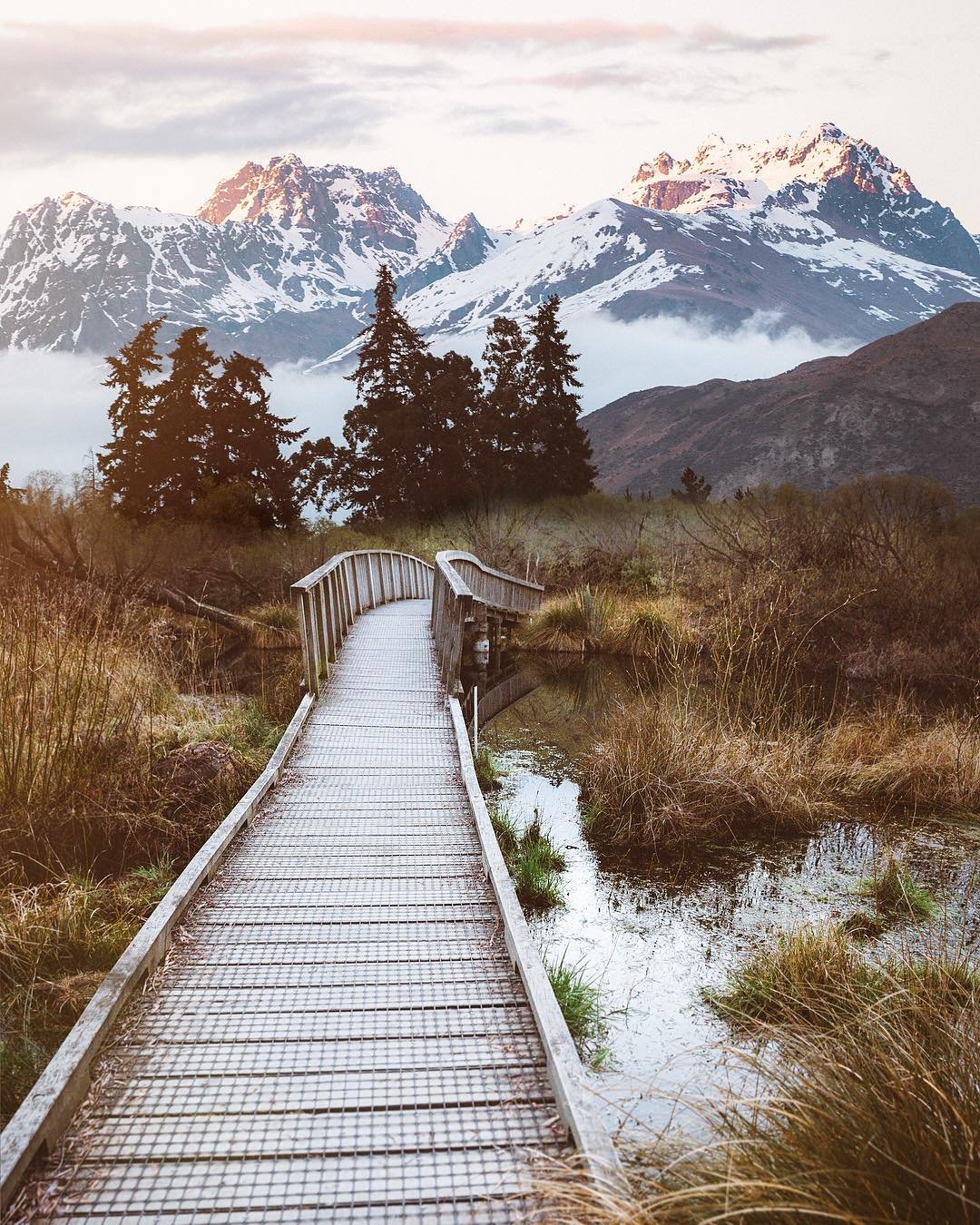 Красота природы