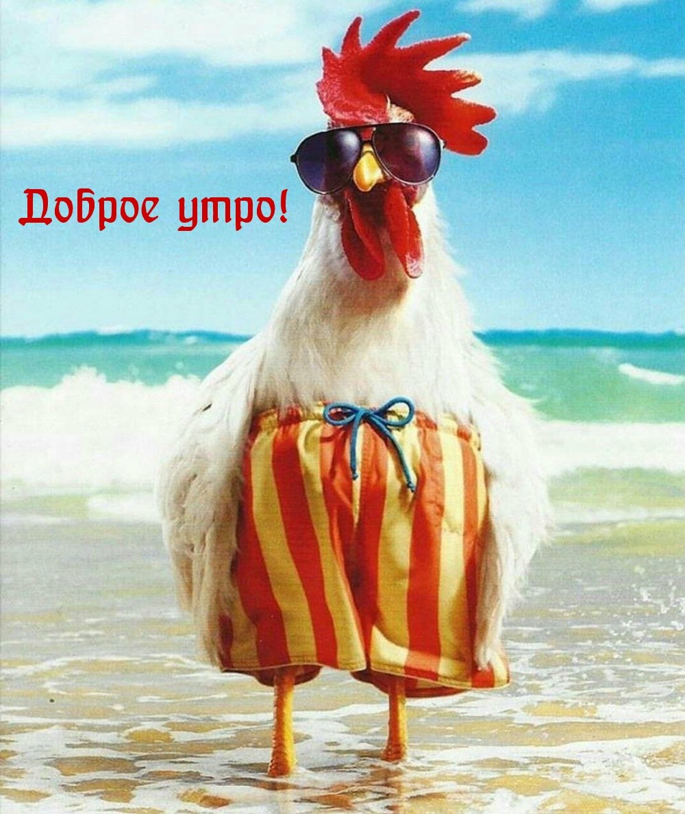 Художница Susan Winget.