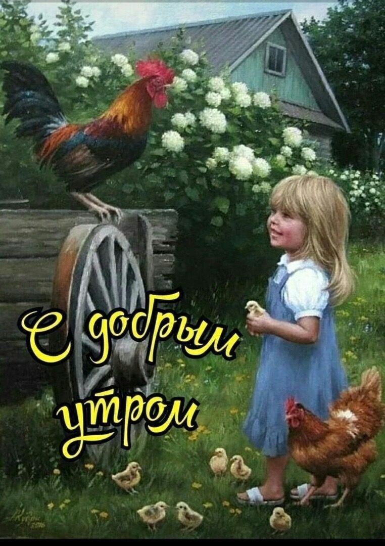 Лето деревня петух