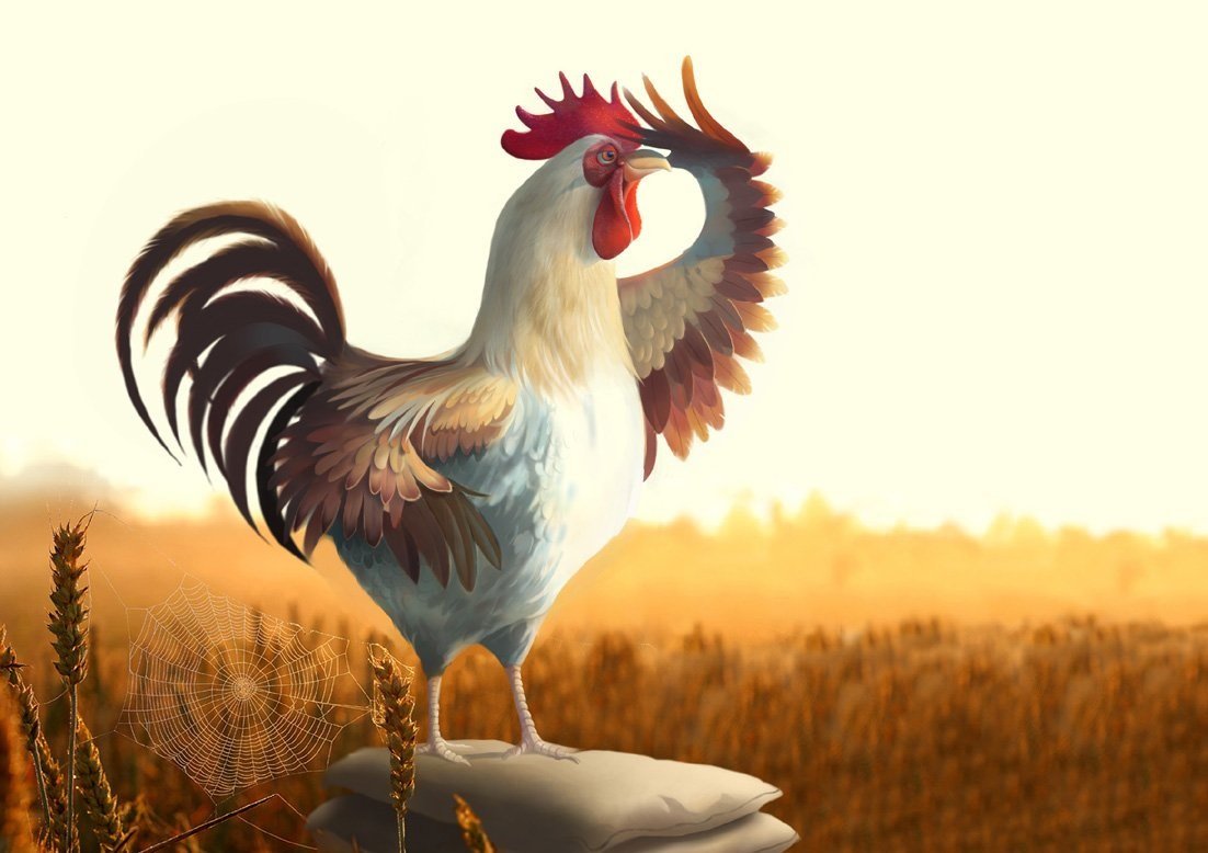 Петух на рассвете