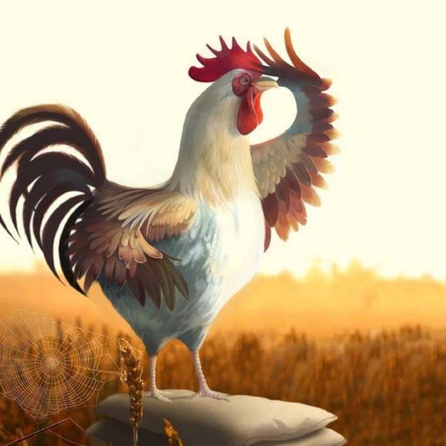 Домашние животные и птицы