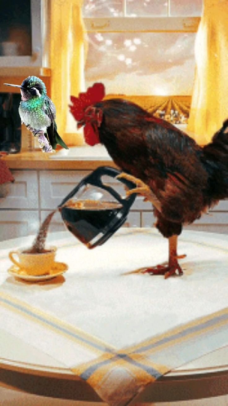 Коты Ирины Зенюк зима