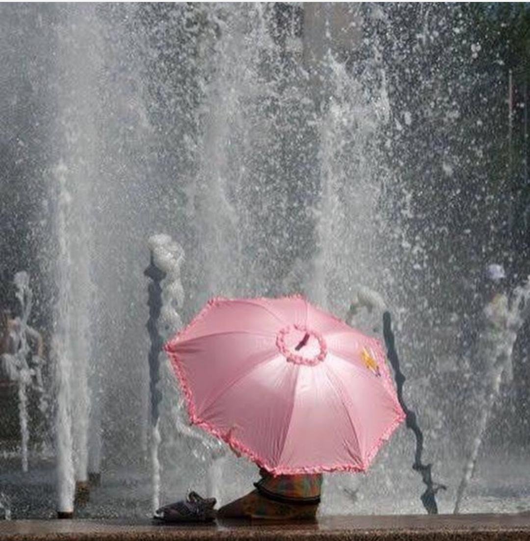 Белые розы под дождем