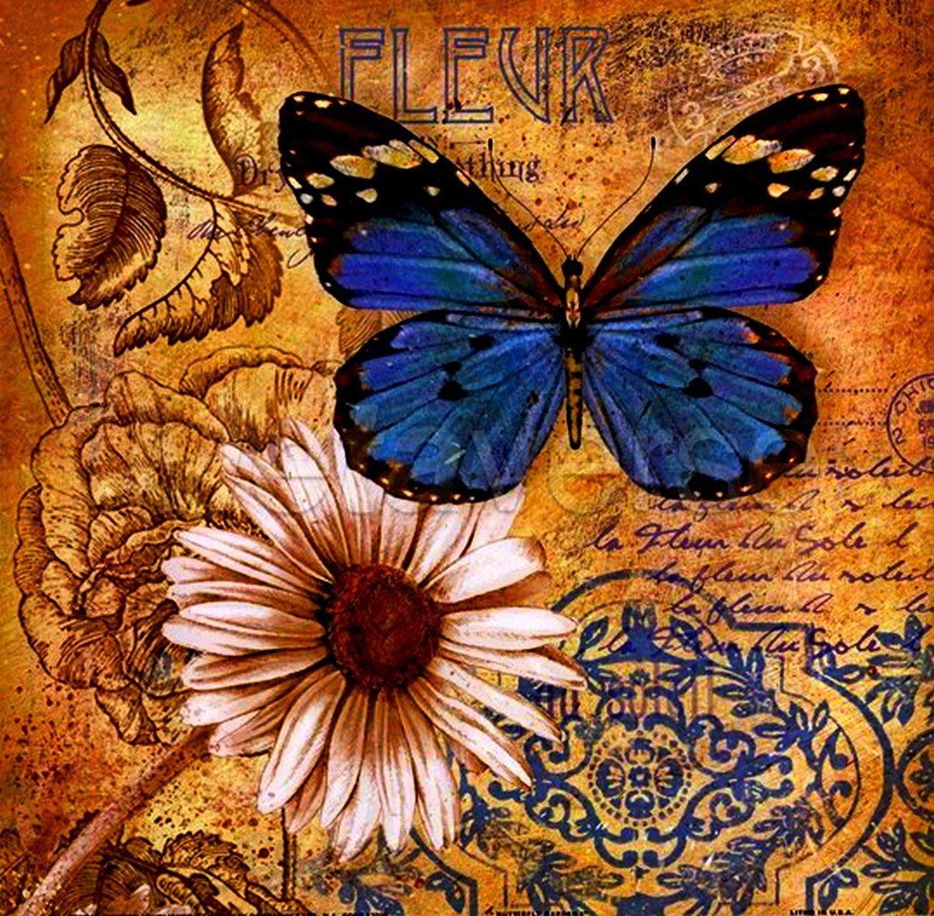 Конрад Кнутсен