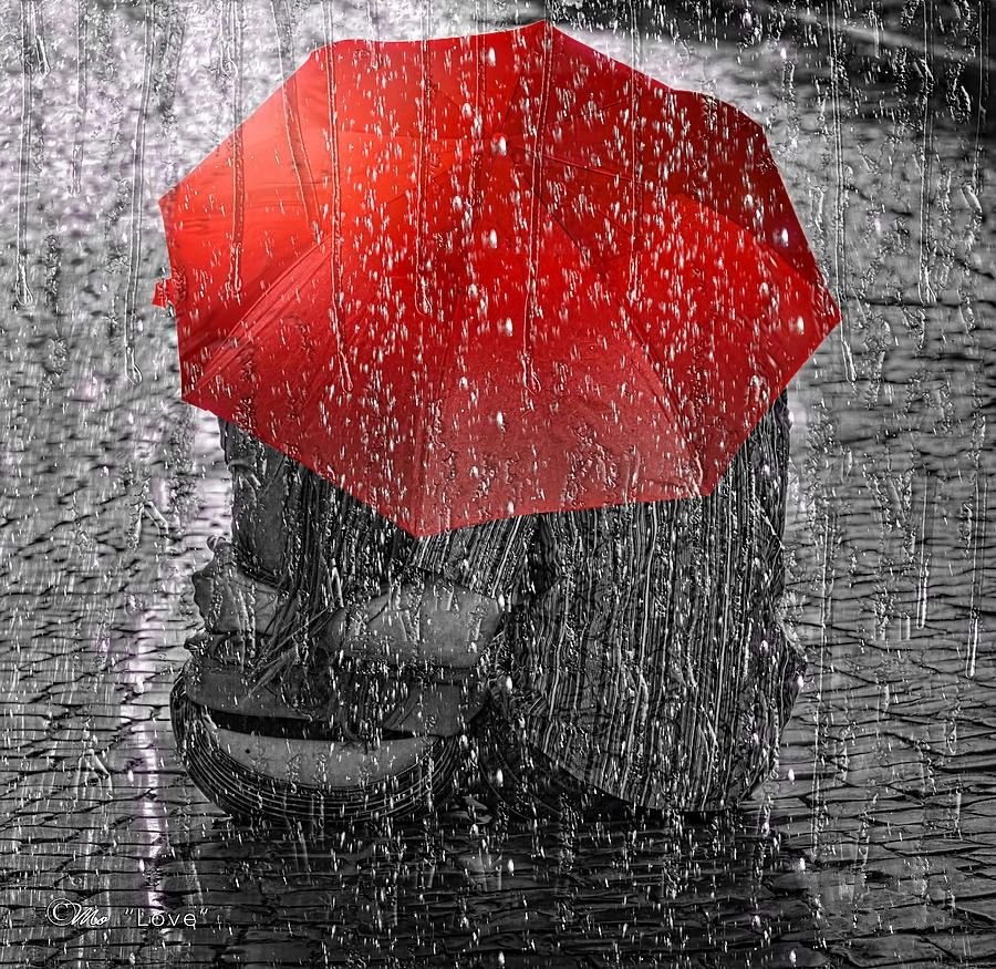 Цветы после дождя