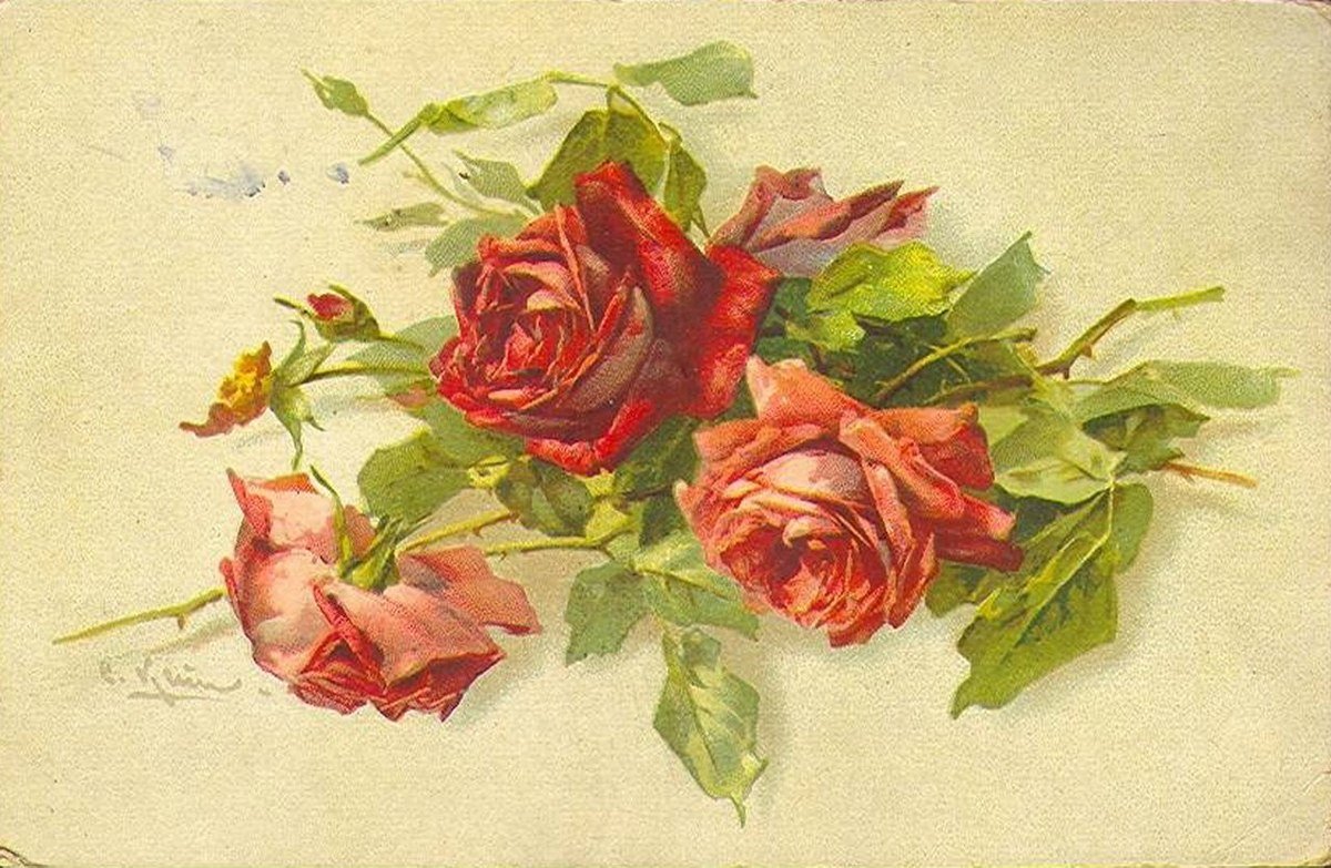 Винтажные розы