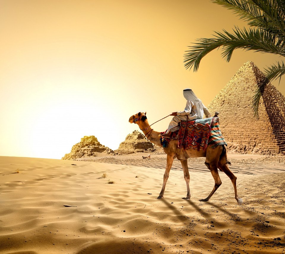 Девушка на верблюде