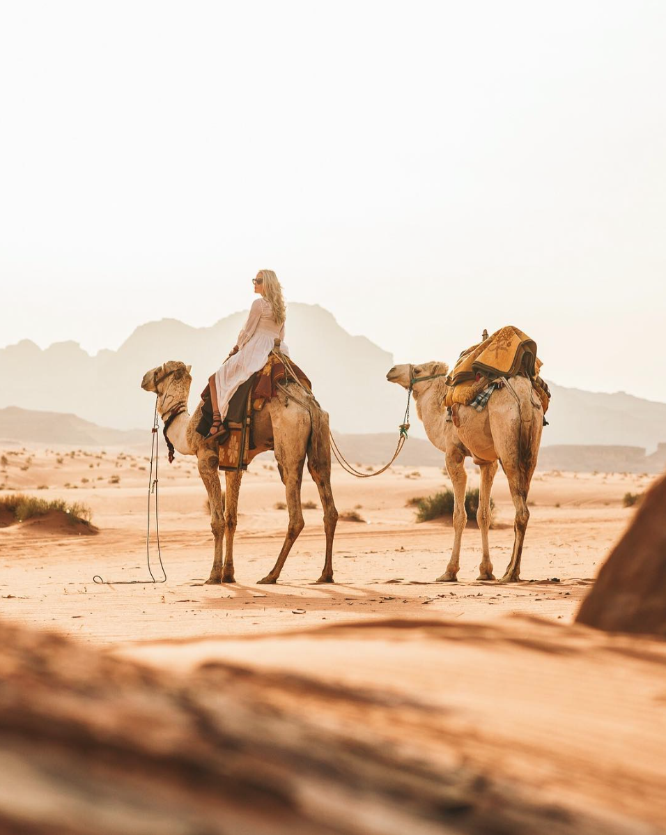 Караван верблюдов в пустыне для детей