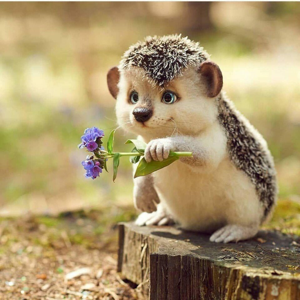 Открытки поднимающие настроение