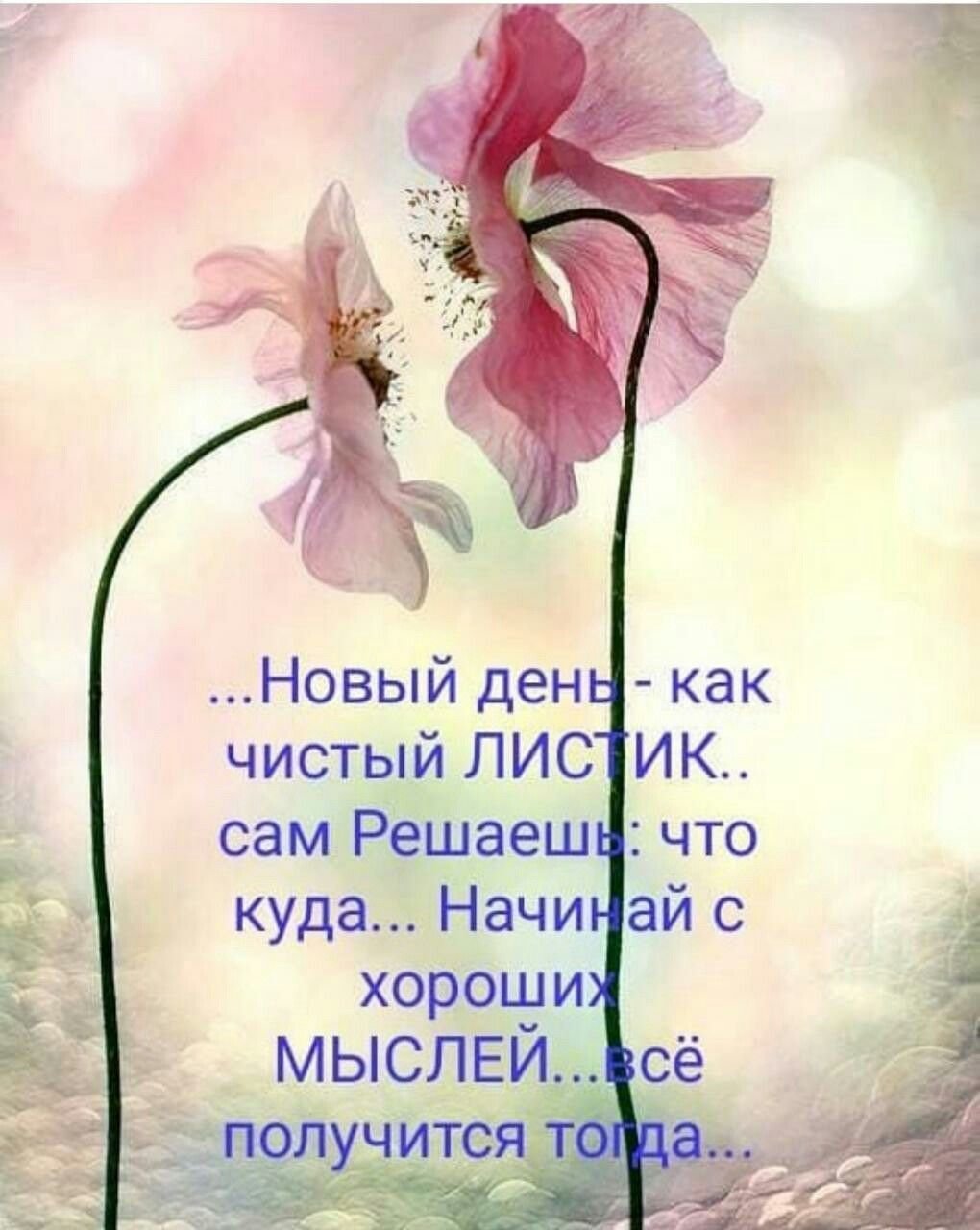 Мудрые слова с добрым утром