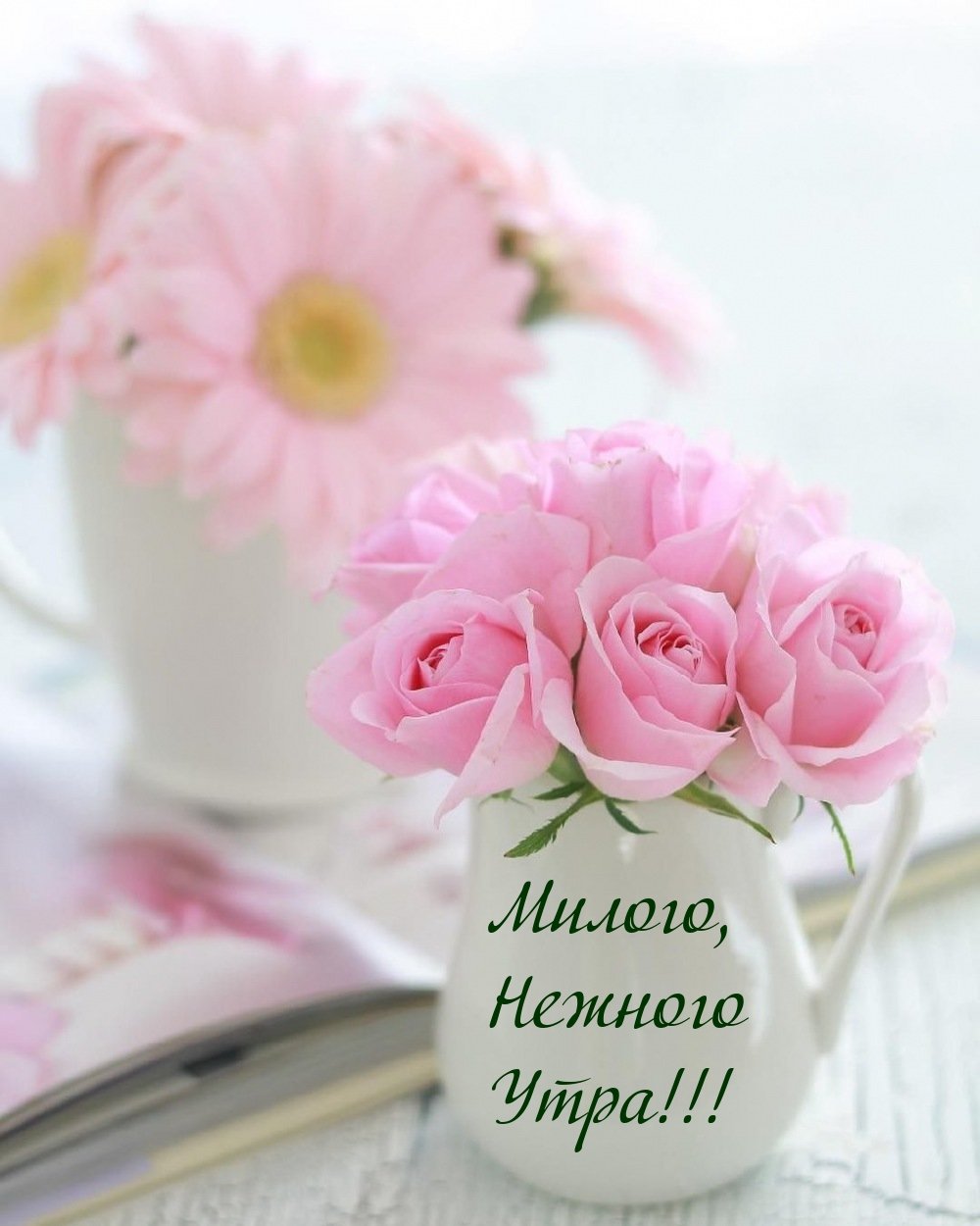 Доброе утро стихи