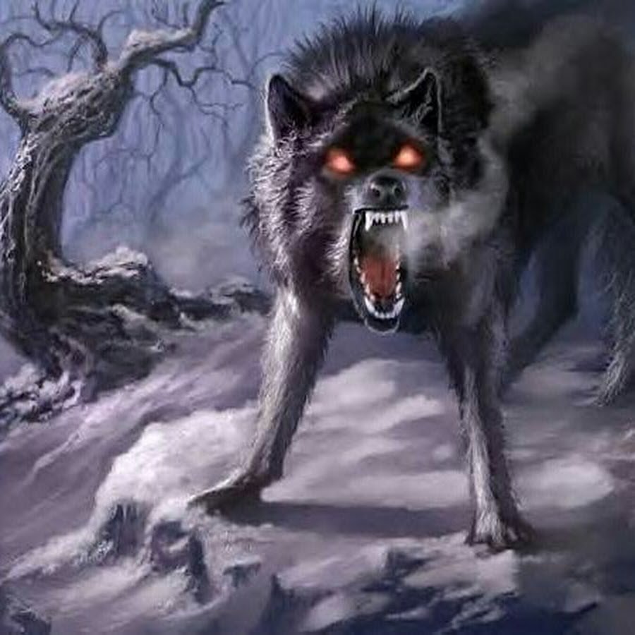 Волк в ночи