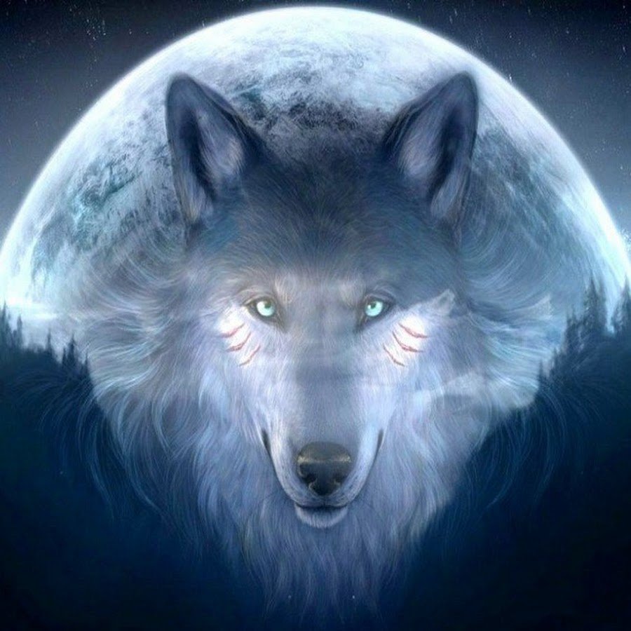 Черный Вольф Вольф человек волк