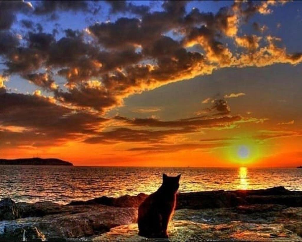 Вечерний закат на море